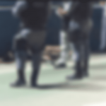 Gabriel Sales Cardoso