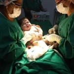 Portal Tambaqui - Maior bebe do Amazonas