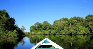 Notícias do Amazonas