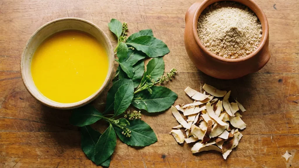 Ingredientes base da culinária amazônica: tucupi, jambu, tucumã e farinha